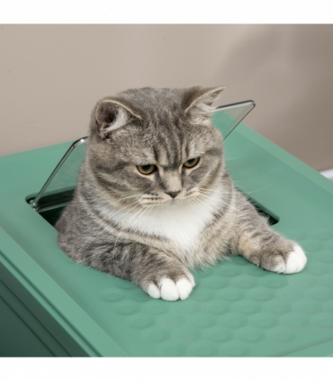 PawHut Hooded Cat Litter Box, Portable Pet Toilet w/ Scoop, Tray - Green