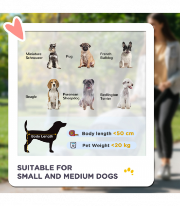 PawHut One-click Foldable Pet Stroller w/ Mesh Windows, for Small Pets - Grey