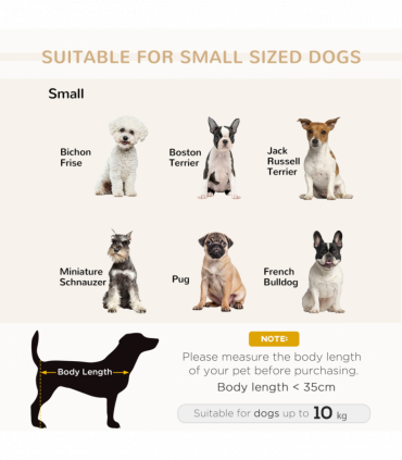 PawHut Pet Sofa Dog Chair Cat Couch w/ Storage, Cushion - Light Blue