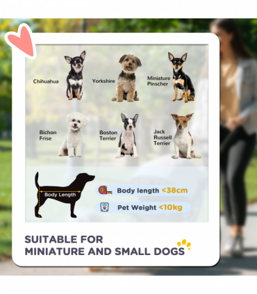 PawHut Pet Stroller for XS and S Dogs with Rain Cover - Green