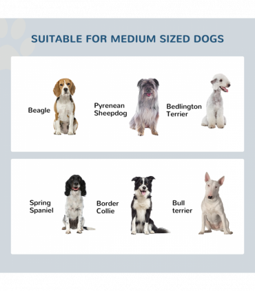 PawHut Raised Dog Bowls Pet Feeder Raised Elevated Stainless Steel Food Grey