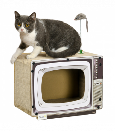 PawHut TV-Shaped Cardboard Cat House with Scratcher, Catnip, Toy Rat