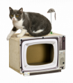PawHut TV-Shaped Cardboard Cat House with Scratcher, Catnip, Toy Rat