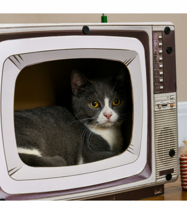 PawHut TV-Shaped Cardboard Cat House with Scratcher, Catnip, Toy Rat