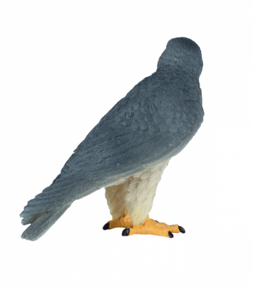 Peregrine Falcon Toy  Realistic Bird of Prey Model
