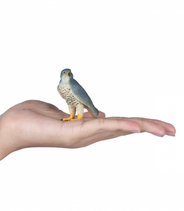 Peregrine Falcon Toy  Realistic Bird of Prey Model