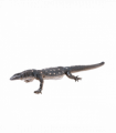 Perentie Lizard Toy  Realistic Reptile Figurine