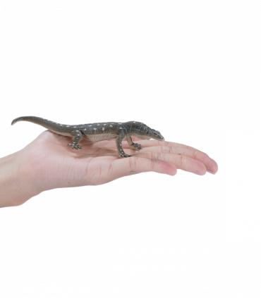 Perentie Lizard Toy  Realistic Reptile Figurine