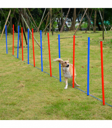 Pet Agility Set Training Play Kit Dog Hoop Poles Tunnel Obedience Equipment