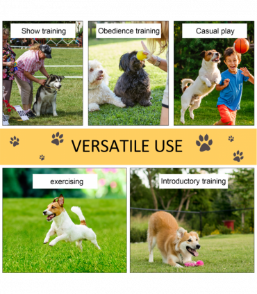 Pet Agility Set Training Play Kit Dog Hoop Poles Tunnel Obedience Equipment