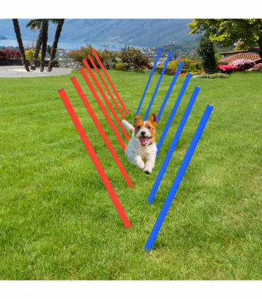Pet Agility Set Training Play Kit Dog Hoop Poles Tunnel Obedience Equipment