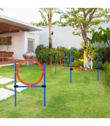 Pet Agility Set Training Play Kit Dog Jump Hoop Poles Tunnel Obedience Equipment