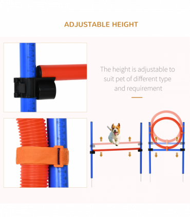 Pet Agility Set Training Play Kit Dog Jump Hoop Poles Tunnel Obedience Equipment