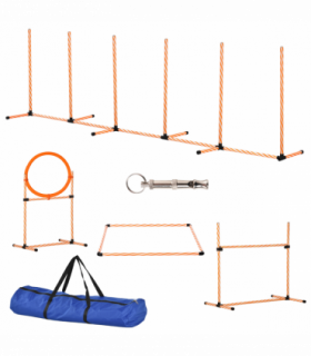 Pet Agility Training Equipment Dog Play Run Jump Hurdle Obedience Training Set