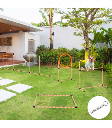 Pet Agility Training Equipment Dog Play Run Jump Hurdle Obedience Training Set