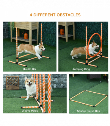 Pet Agility Training Equipment Dog Play Run Jump Hurdle Obedience Training Set