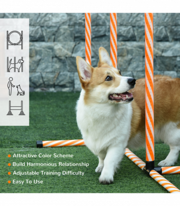 Pet Agility Training Equipment Dog Play Run Jump Hurdle Obedience Training Set
