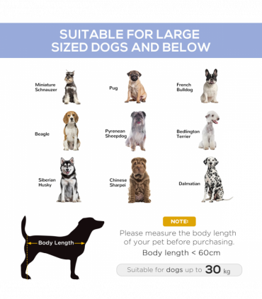 Pet Bed Raised Cot Dog Cat Elevated Puppy Hammock Camping Portable Waterproof