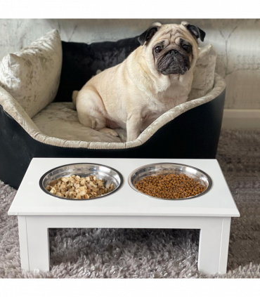 Pet Feeder Raised Elevated Stainless Steel Bowls Stand Food Water White Samll