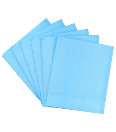 Pet Training Pads 100 pcs 90x60 cm Non Woven Fabric
