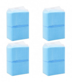 Pet Training Pads 400 pcs 45x33 cm Non Woven Fabric