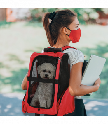 Pet Travel Backpack Bag Cat Puppy Dog Carrier w/ Trolley and Telescopic Handle
