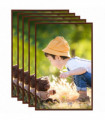 vidaXL Photo Frames Collage 5 pcs for Wall or Table Bronze 70x90cm MDF