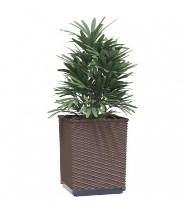 vidaXL Planters 2 pcs Brown 30x30x37 cm Polypropylene