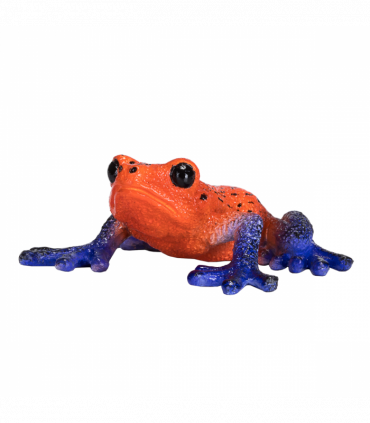 Poison Dart Tree Frog Toy  Realistic Rainforest Amphibian Figure