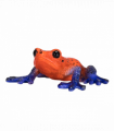 Poison Dart Tree Frog Toy  Realistic Rainforest Amphibian Figure
