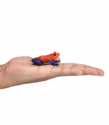 Poison Dart Tree Frog Toy  Realistic Rainforest Amphibian Figure