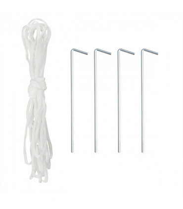 Polytunnel Greenhouse、Walk-in Green House