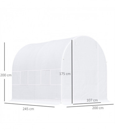 Polytunnel Greenhouse、Walk-in Green House