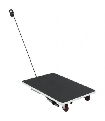 Portable Dog Grooming Table with Castors