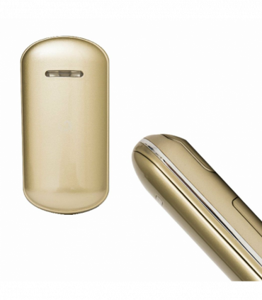 Portable Nano Mist Sprayer Handheld, Gold