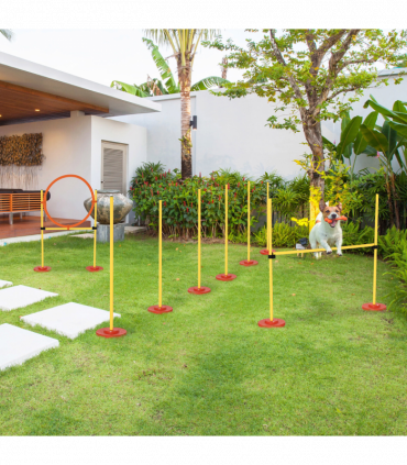 Portable Pet Agility Training Obstacle Set for Jumping Pole,Ring,Turnstile poles