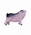 Pot-Bellied Piglet Toy  Realistic Farm Animal Model