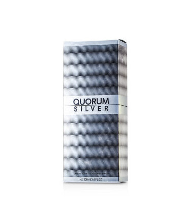 Puig Quorum Silver  Eau De Toilette Spray 100ml