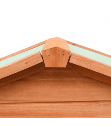 Rabbit Hutch Solid Pine & Fir Wood 303x60x86 cm