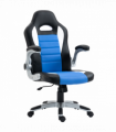 Racing Gaming Chair Height Adjustable Swivel Chair with Flip Up Armrests, Blue