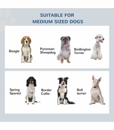 Raised Dog Bowls Pet Feeder Elevated Double Stainless Steel Water Brown Pawhut