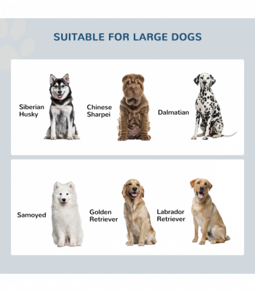 Raised Dog Bowls for Large Dogs Feeding Station Stand, Storage - White Pawhut