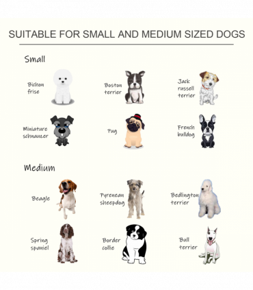 Raised Pet Feeder Elevated Double Staninless Steel Bowls Stand Water White