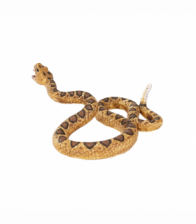 Rattlesnake Toy  Realistic Reptile Model