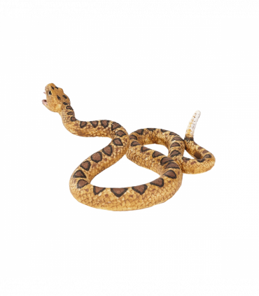 Rattlesnake Toy  Realistic Reptile Model