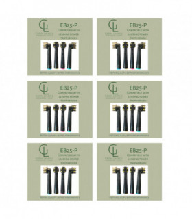 Recyclable Oral b head replacement toothbrush 6 Packs