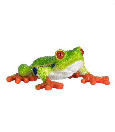 Red-Eyed Tree Frog Toy  Realistic Rainforest Amphibian Figure