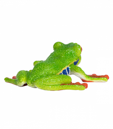 Red-Eyed Tree Frog Toy  Realistic Rainforest Amphibian Figure