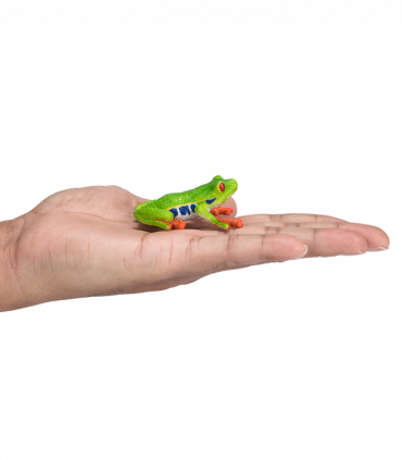 Red-Eyed Tree Frog Toy  Realistic Rainforest Amphibian Figure