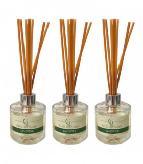 Reed Diffuser Oil Based 100ml lAVENDER Pack of 3